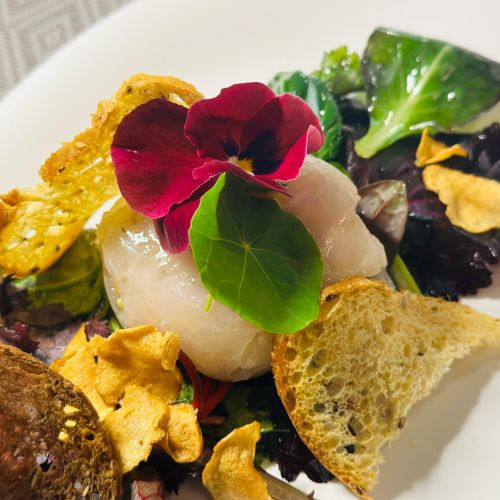 Il Bistrot di La Fenice: il tuo ristorante vegetariano sul Lago di Garda